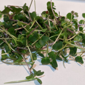 Farm Doc Microgreen Basic Mix