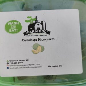 Cantaloupe Microgreens