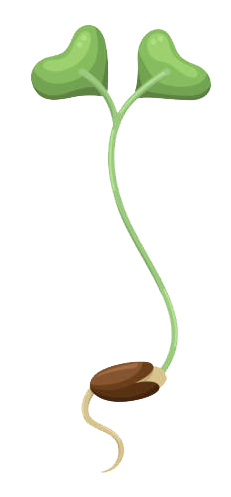 Microgreen-Clip-Art9